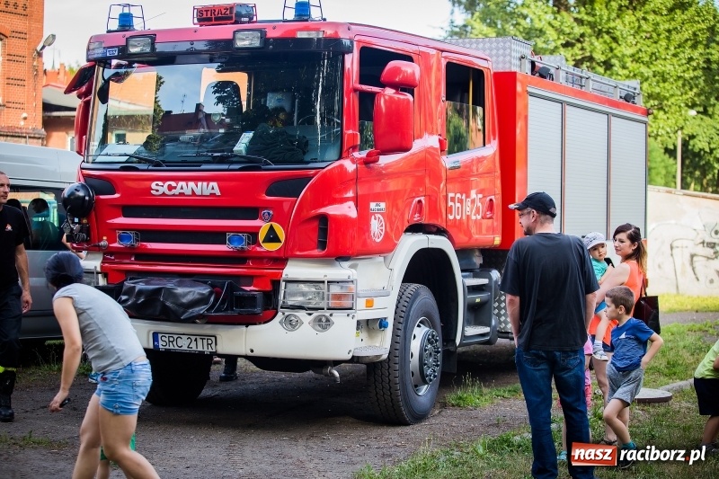Zdjęcie w galerii na portalu naszraciborz.pl: Piknik inaugurujący założenie ogródka społecznego w parku jordanowskim wiadomości z regionu