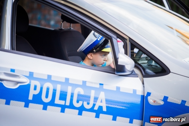 Zdjęcie w galerii na portalu naszraciborz.pl: Piknik inaugurujący założenie ogródka społecznego w parku jordanowskim wiadomości z regionu