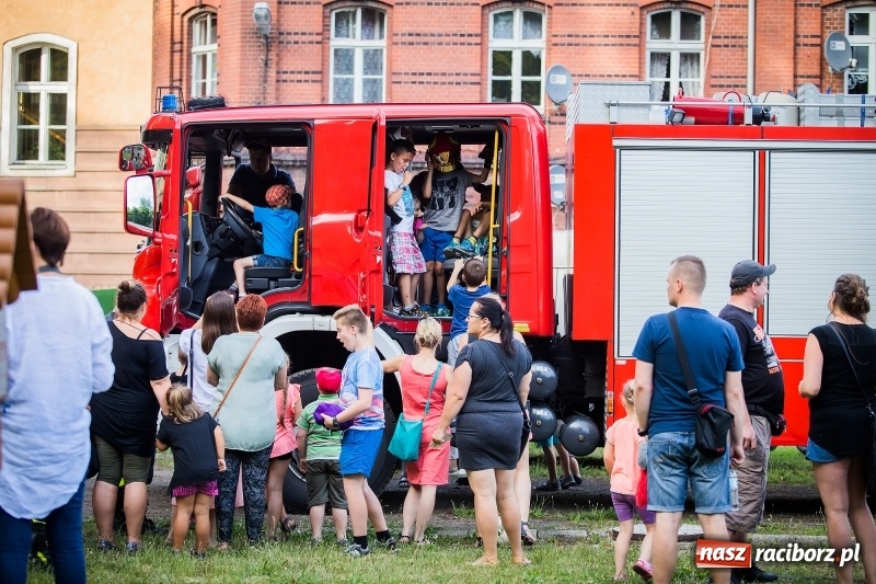 Zdjęcie w galerii na portalu naszraciborz.pl: Piknik inaugurujący założenie ogródka społecznego w parku jordanowskim wiadomości z regionu
