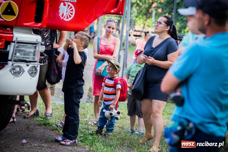 Zdjęcie w galerii na portalu naszraciborz.pl: Piknik inaugurujący założenie ogródka społecznego w parku jordanowskim wiadomości z regionu