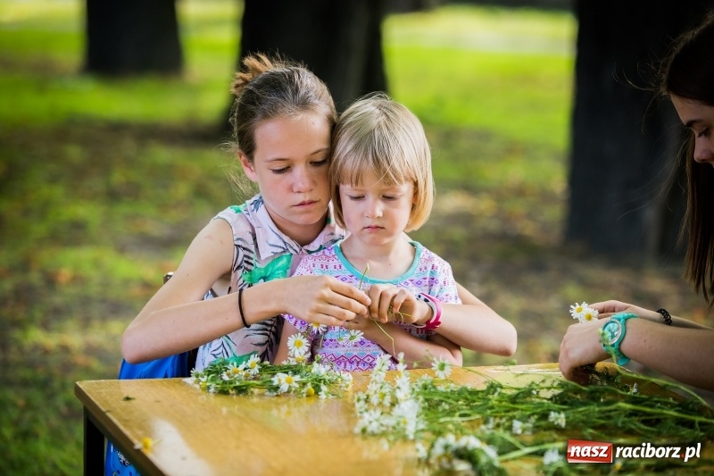 Zdjęcie w galerii na portalu naszraciborz.pl: Piknik inaugurujący założenie ogródka społecznego w parku jordanowskim wiadomości z regionu