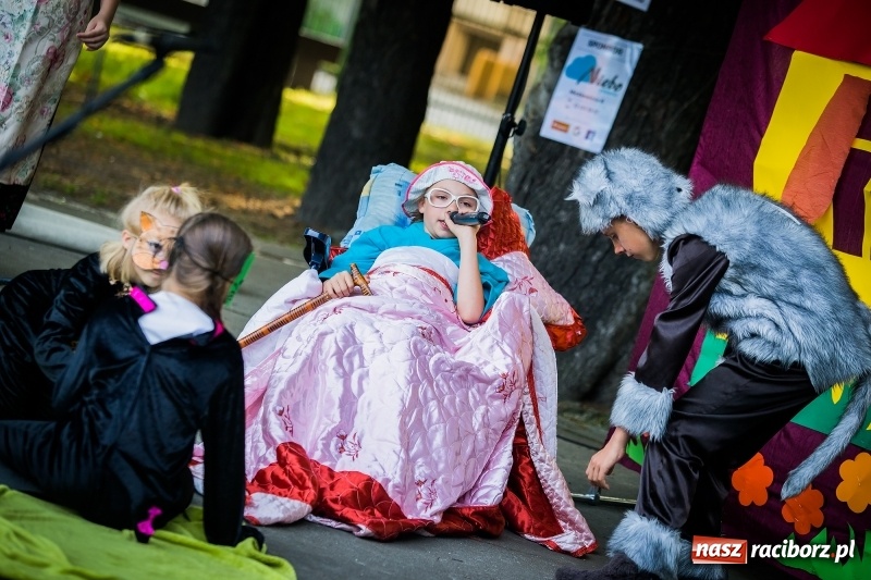Zdjęcie w galerii na portalu naszraciborz.pl: Piknik inaugurujący założenie ogródka społecznego w parku jordanowskim wiadomości z regionu