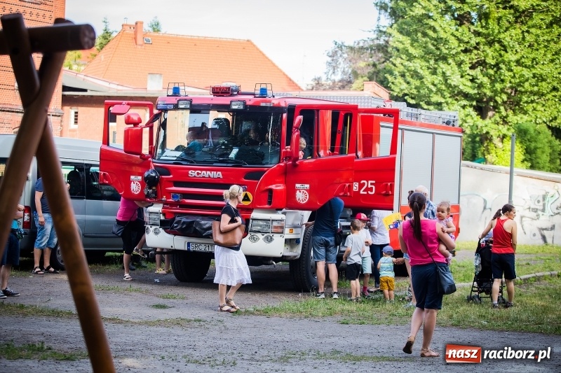 Zdjęcie w galerii na portalu naszraciborz.pl: Piknik inaugurujący założenie ogródka społecznego w parku jordanowskim wiadomości z regionu