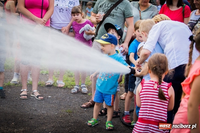 Zdjęcie w galerii na portalu naszraciborz.pl: Piknik inaugurujący założenie ogródka społecznego w parku jordanowskim wiadomości z regionu