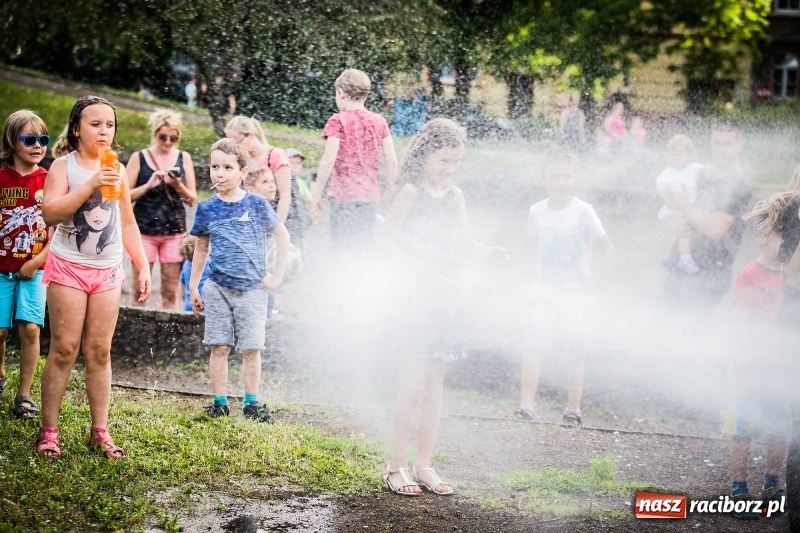 Zdjęcie w galerii na portalu naszraciborz.pl: Piknik inaugurujący założenie ogródka społecznego w parku jordanowskim wiadomości z regionu