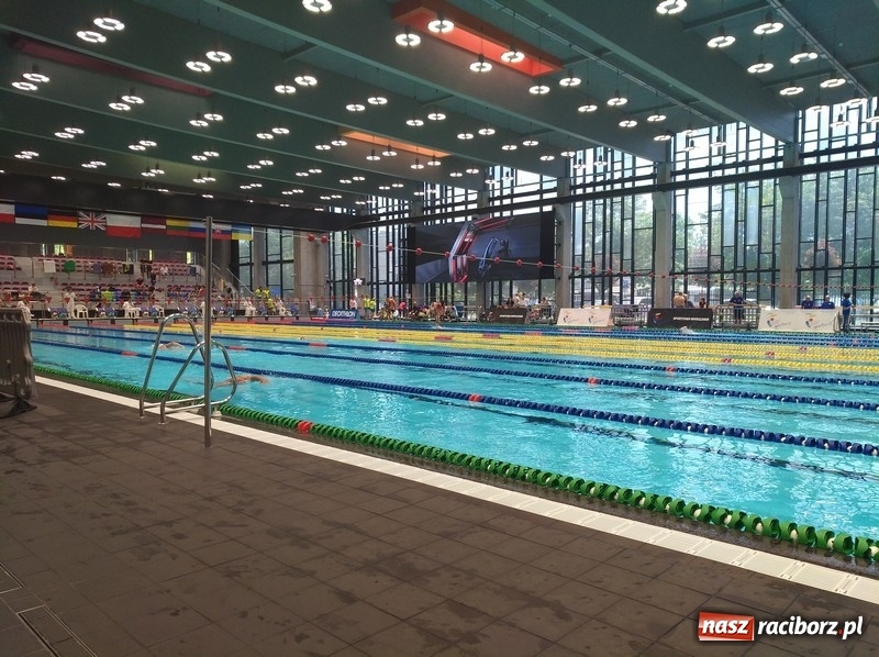 Zdjęcie w galerii na portalu naszraciborz.pl: Pływanie. Adolf Piechula wśród najlepszych  wiadomości z regionu