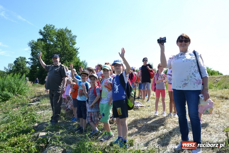 Zdjęcie w galerii na portalu naszraciborz.pl: Flisacy na Meandrach Odry w Chałupkach  wiadomości z regionu