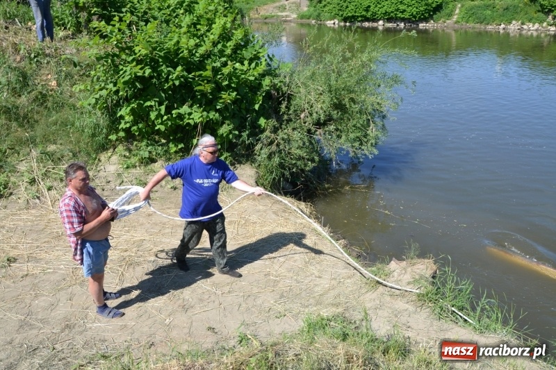 Zdjęcie w galerii na portalu naszraciborz.pl: Flisacy na Meandrach Odry w Chałupkach  wiadomości z regionu