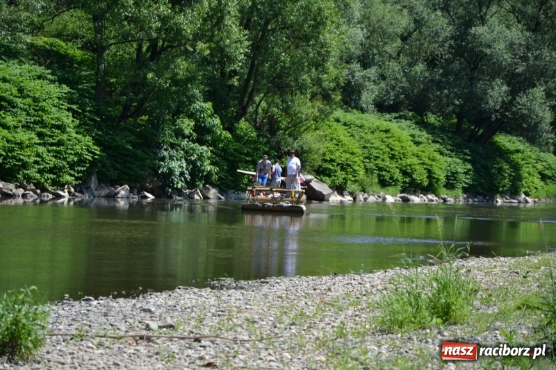 Zdjęcie w galerii na portalu naszraciborz.pl: Flisacy na Meandrach Odry w Chałupkach  wiadomości z regionu