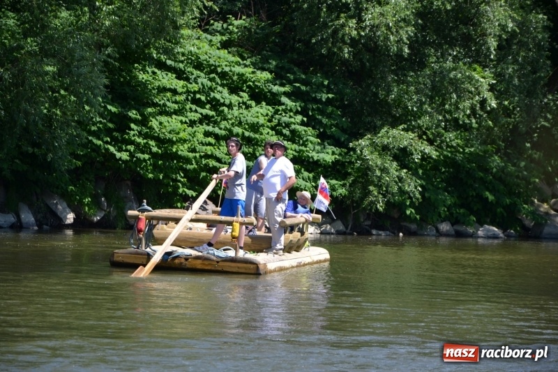 Zdjęcie w galerii na portalu naszraciborz.pl: Flisacy na Meandrach Odry w Chałupkach  wiadomości z regionu