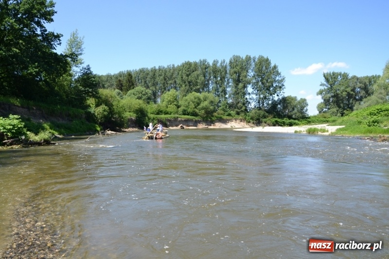 Zdjęcie w galerii na portalu naszraciborz.pl: Flisacy na Meandrach Odry w Chałupkach  wiadomości z regionu