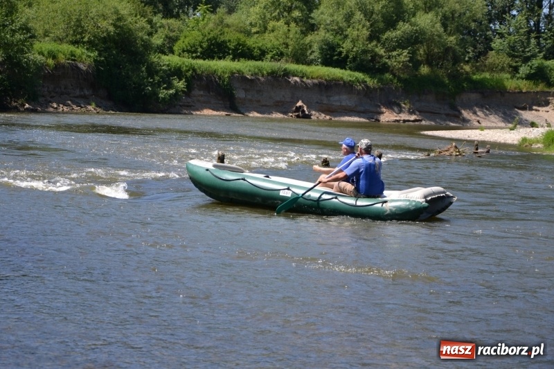 Zdjęcie w galerii na portalu naszraciborz.pl: Flisacy na Meandrach Odry w Chałupkach  wiadomości z regionu