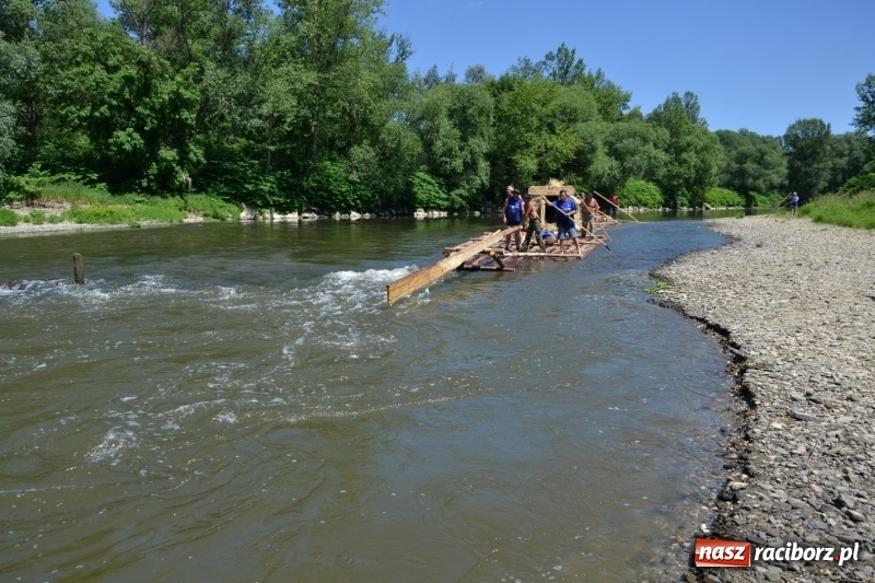 Zdjęcie w galerii na portalu naszraciborz.pl: Flisacy na Meandrach Odry w Chałupkach  wiadomości z regionu