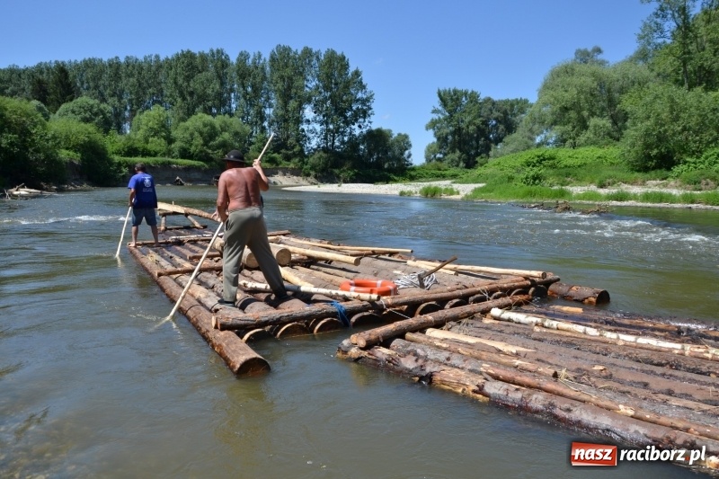 Zdjęcie w galerii na portalu naszraciborz.pl: Flisacy na Meandrach Odry w Chałupkach  wiadomości z regionu