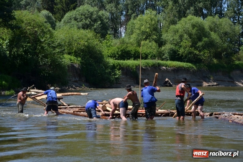 Zdjęcie w galerii na portalu naszraciborz.pl: Flisacy na Meandrach Odry w Chałupkach  wiadomości z regionu