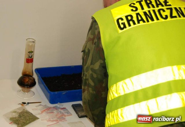 Zdjęcie w galerii na portalu naszraciborz.pl: Zatrzymany Polak z przemyconą z Czech marihuaną wiadomości z regionu