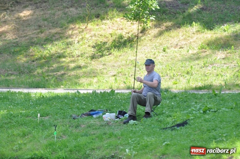 Zdjęcie w galerii na portalu naszraciborz.pl: Zawody wędkarskie na stawie w Krowiarkach. Do wygrania... dziennikarskie krzesło  wiadomości z regionu