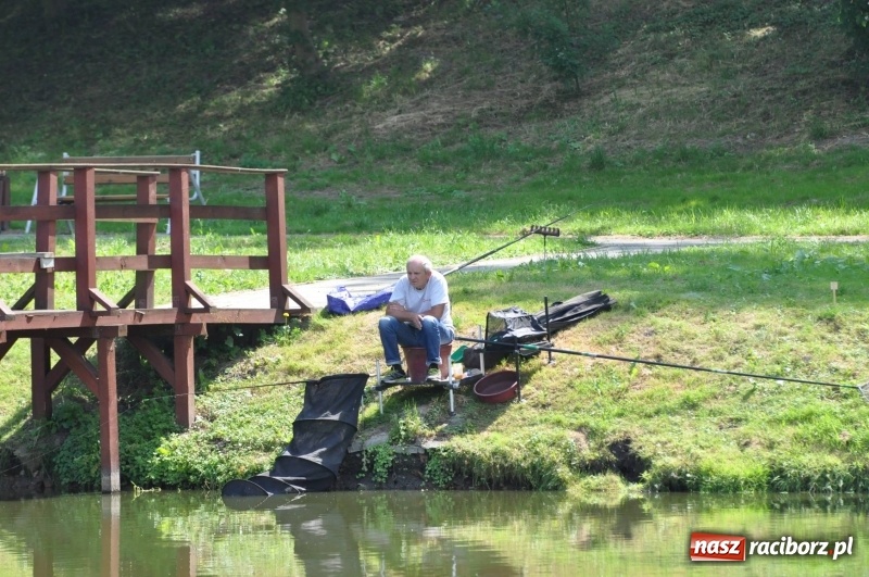 Zdjęcie w galerii na portalu naszraciborz.pl: Zawody wędkarskie na stawie w Krowiarkach. Do wygrania... dziennikarskie krzesło  wiadomości z regionu