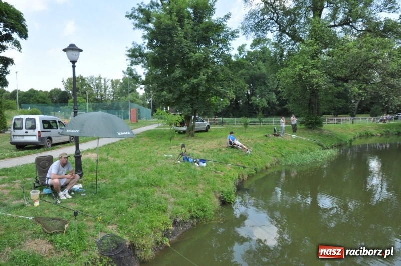 Zdjęcie w galerii na portalu naszraciborz.pl: Zawody wędkarskie na stawie w Krowiarkach. Do wygrania... dziennikarskie krzesło  wiadomości z regionu