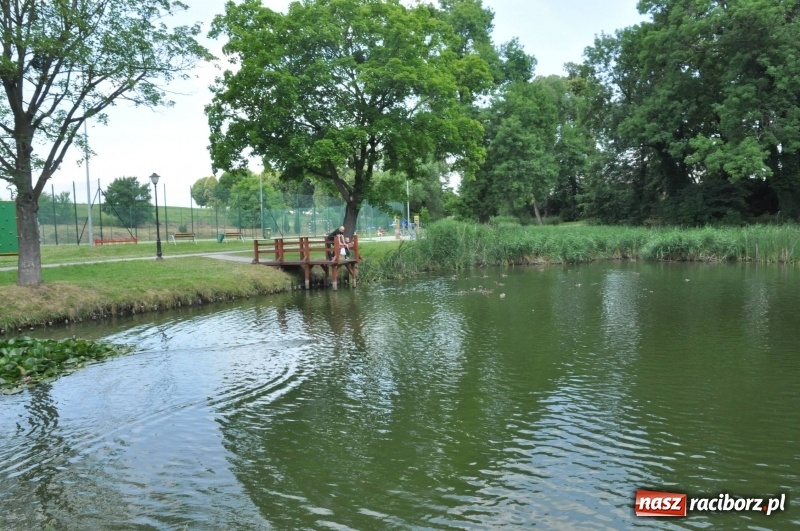 Zdjęcie w galerii na portalu naszraciborz.pl: Zawody wędkarskie na stawie w Krowiarkach. Do wygrania... dziennikarskie krzesło  wiadomości z regionu