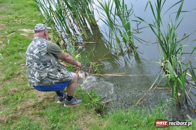 Zdjęcie w galerii na portalu naszraciborz.pl: Zawody wędkarskie na stawie w Krowiarkach. Do wygrania... dziennikarskie krzesło  wiadomości z regionu
