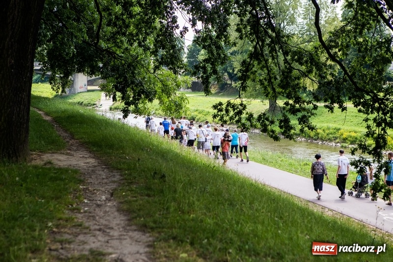 Zdjęcie w galerii na portalu naszraciborz.pl: II Raciborski Bieg Bez Barier już za nami wiadomości z regionu