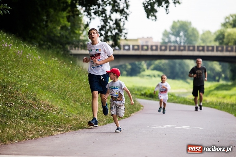 Zdjęcie w galerii na portalu naszraciborz.pl: II Raciborski Bieg Bez Barier już za nami wiadomości z regionu
