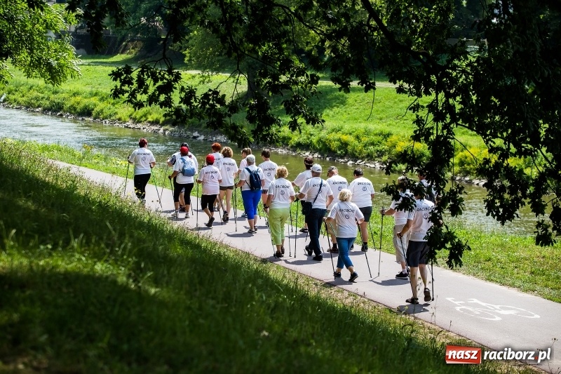 Zdjęcie w galerii na portalu naszraciborz.pl: II Raciborski Bieg Bez Barier już za nami wiadomości z regionu