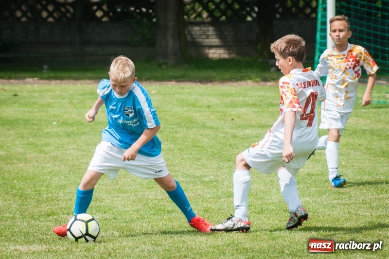 Zdjęcie w galerii na portalu naszraciborz.pl: Tworków Cup 2017. Zespół gospodarzy wrócił na tron wiadomości z regionu