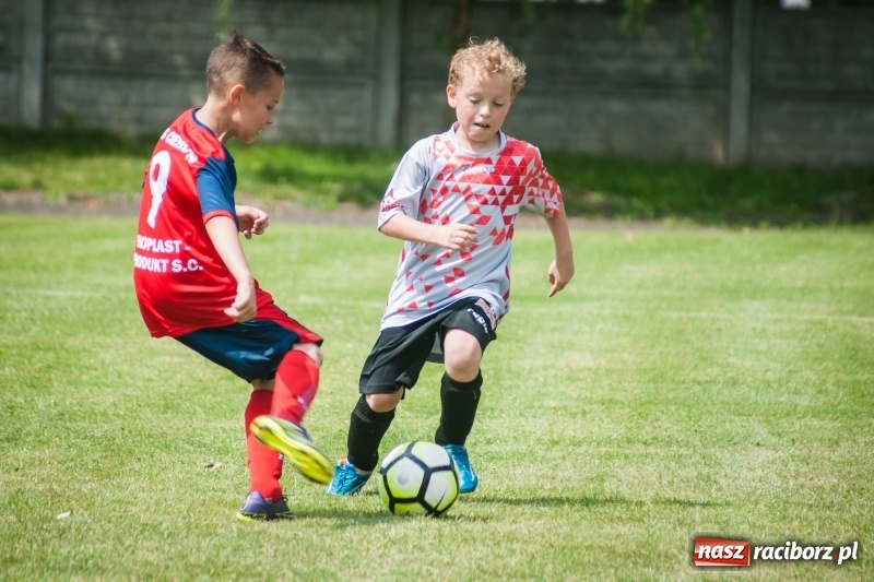 Zdjęcie w galerii na portalu naszraciborz.pl: Tworków Cup 2017. Zespół gospodarzy wrócił na tron wiadomości z regionu