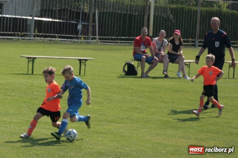 Zdjęcie w galerii na portalu naszraciborz.pl: Żaki Rafako na Międzynarodowym Turnieju Piłkarskim Lhotka Cup 2017 w Ostravie wiadomości z regionu