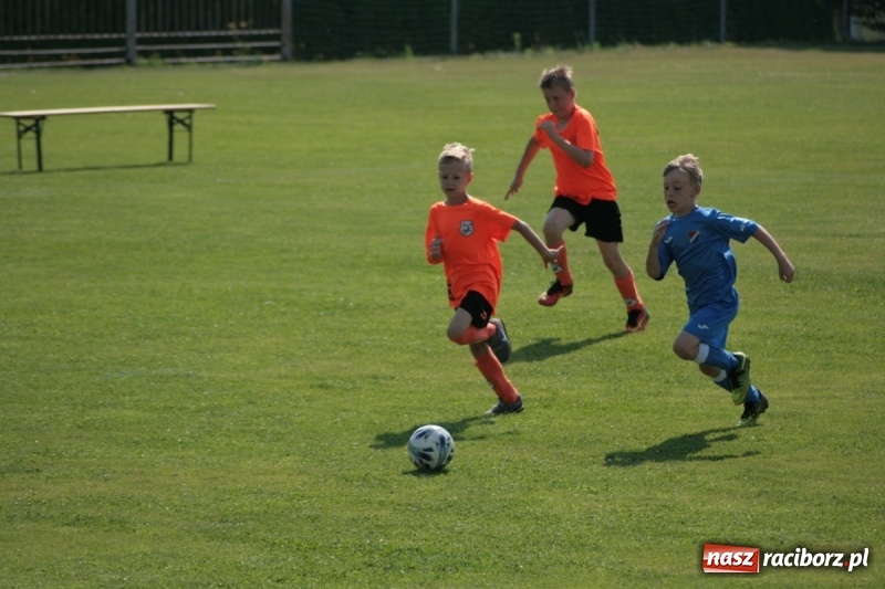 Zdjęcie w galerii na portalu naszraciborz.pl: Żaki Rafako na Międzynarodowym Turnieju Piłkarskim Lhotka Cup 2017 w Ostravie wiadomości z regionu