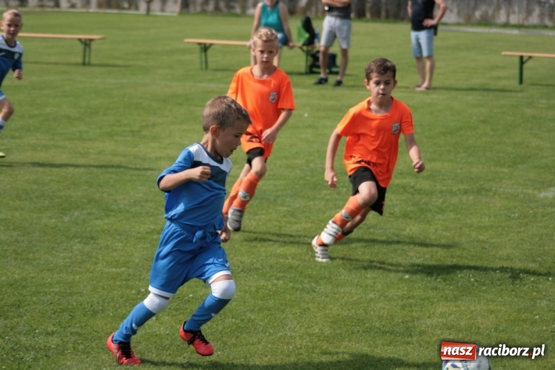 Zdjęcie w galerii na portalu naszraciborz.pl: Żaki Rafako na Międzynarodowym Turnieju Piłkarskim Lhotka Cup 2017 w Ostravie wiadomości z regionu