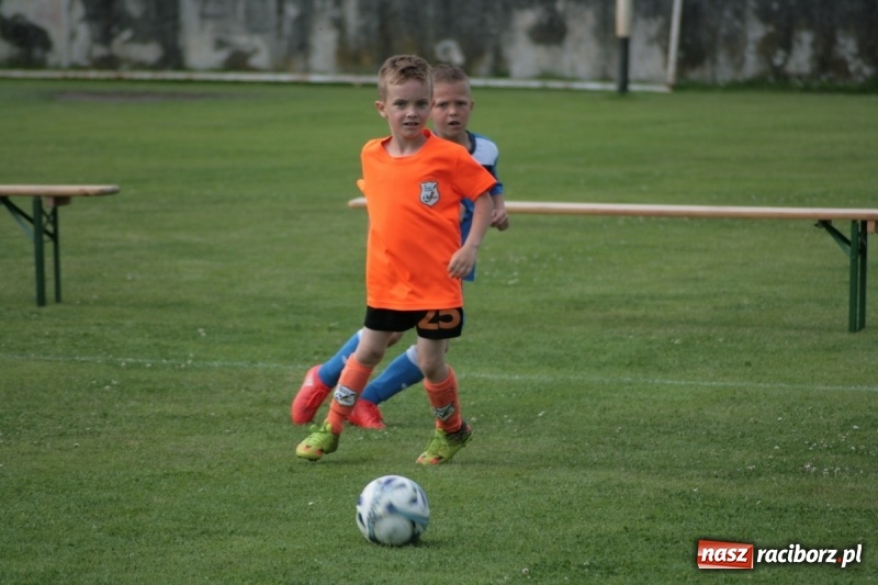 Zdjęcie w galerii na portalu naszraciborz.pl: Żaki Rafako na Międzynarodowym Turnieju Piłkarskim Lhotka Cup 2017 w Ostravie wiadomości z regionu