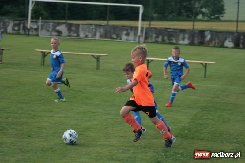Zdjęcie w galerii na portalu naszraciborz.pl: Żaki Rafako na Międzynarodowym Turnieju Piłkarskim Lhotka Cup 2017 w Ostravie wiadomości z regionu
