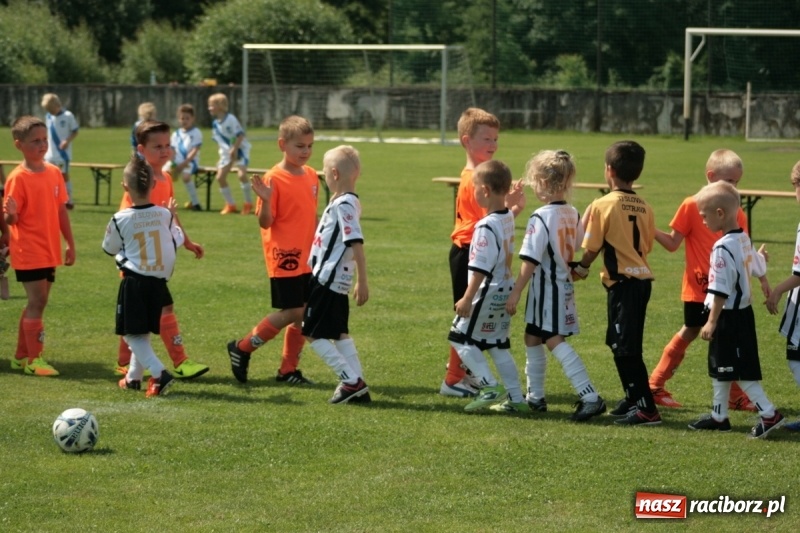 Zdjęcie w galerii na portalu naszraciborz.pl: Żaki Rafako na Międzynarodowym Turnieju Piłkarskim Lhotka Cup 2017 w Ostravie wiadomości z regionu