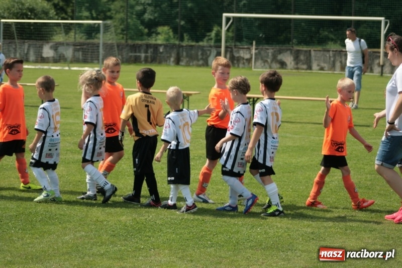 Zdjęcie w galerii na portalu naszraciborz.pl: Żaki Rafako na Międzynarodowym Turnieju Piłkarskim Lhotka Cup 2017 w Ostravie wiadomości z regionu