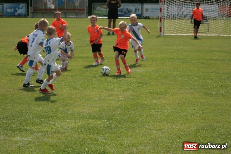 Zdjęcie w galerii na portalu naszraciborz.pl: Żaki Rafako na Międzynarodowym Turnieju Piłkarskim Lhotka Cup 2017 w Ostravie wiadomości z regionu