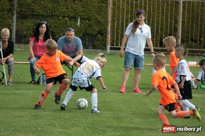 Zdjęcie w galerii na portalu naszraciborz.pl: Żaki Rafako na Międzynarodowym Turnieju Piłkarskim Lhotka Cup 2017 w Ostravie wiadomości z regionu