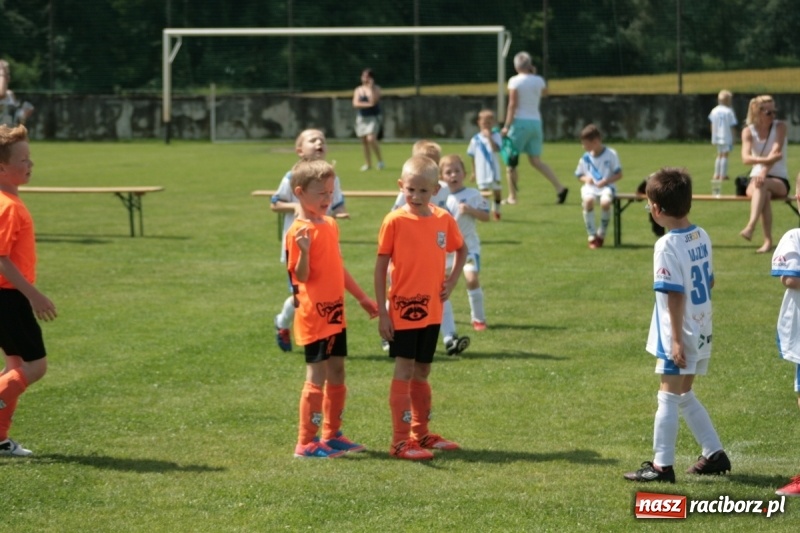 Zdjęcie w galerii na portalu naszraciborz.pl: Żaki Rafako na Międzynarodowym Turnieju Piłkarskim Lhotka Cup 2017 w Ostravie wiadomości z regionu