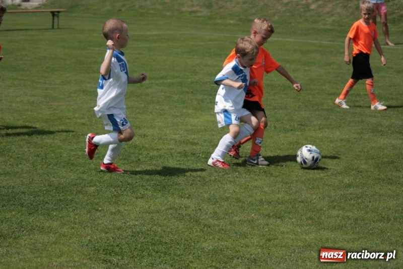 Zdjęcie w galerii na portalu naszraciborz.pl: Żaki Rafako na Międzynarodowym Turnieju Piłkarskim Lhotka Cup 2017 w Ostravie wiadomości z regionu