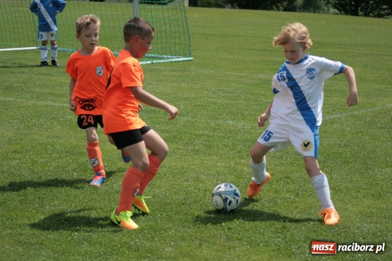 Zdjęcie w galerii na portalu naszraciborz.pl: Żaki Rafako na Międzynarodowym Turnieju Piłkarskim Lhotka Cup 2017 w Ostravie wiadomości z regionu