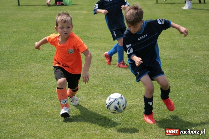 Zdjęcie w galerii na portalu naszraciborz.pl: Żaki Rafako na Międzynarodowym Turnieju Piłkarskim Lhotka Cup 2017 w Ostravie wiadomości z regionu