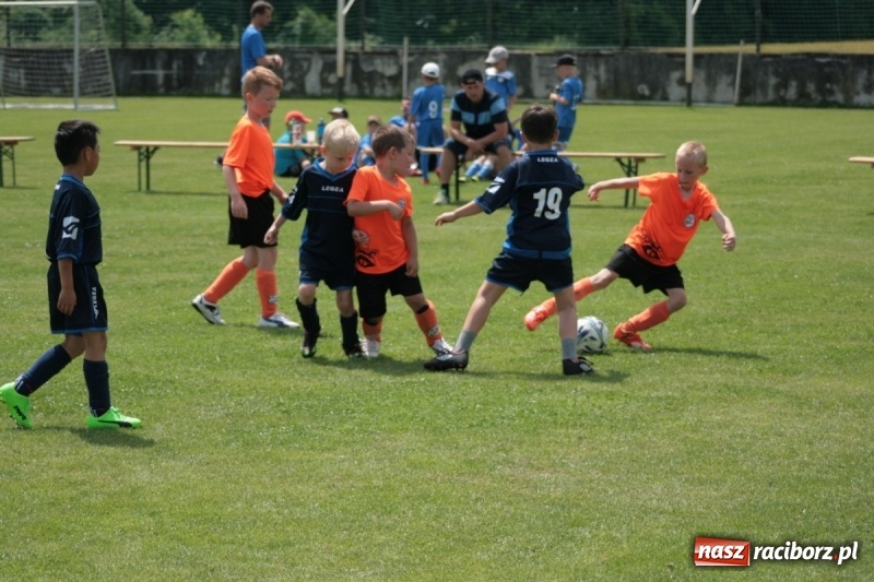 Zdjęcie w galerii na portalu naszraciborz.pl: Żaki Rafako na Międzynarodowym Turnieju Piłkarskim Lhotka Cup 2017 w Ostravie wiadomości z regionu