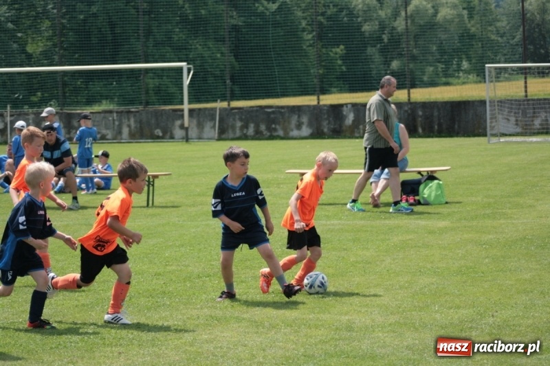 Zdjęcie w galerii na portalu naszraciborz.pl: Żaki Rafako na Międzynarodowym Turnieju Piłkarskim Lhotka Cup 2017 w Ostravie wiadomości z regionu