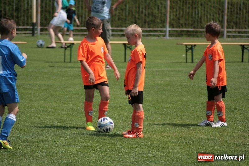 Zdjęcie w galerii na portalu naszraciborz.pl: Żaki Rafako na Międzynarodowym Turnieju Piłkarskim Lhotka Cup 2017 w Ostravie wiadomości z regionu