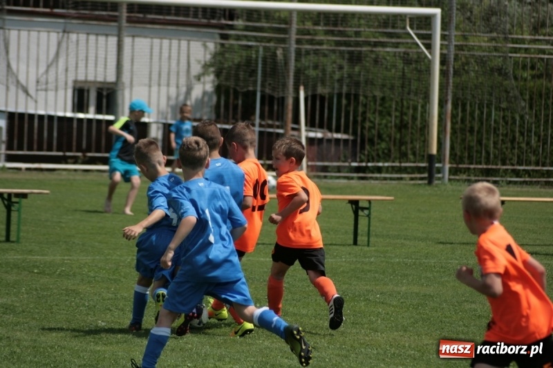 Zdjęcie w galerii na portalu naszraciborz.pl: Żaki Rafako na Międzynarodowym Turnieju Piłkarskim Lhotka Cup 2017 w Ostravie wiadomości z regionu
