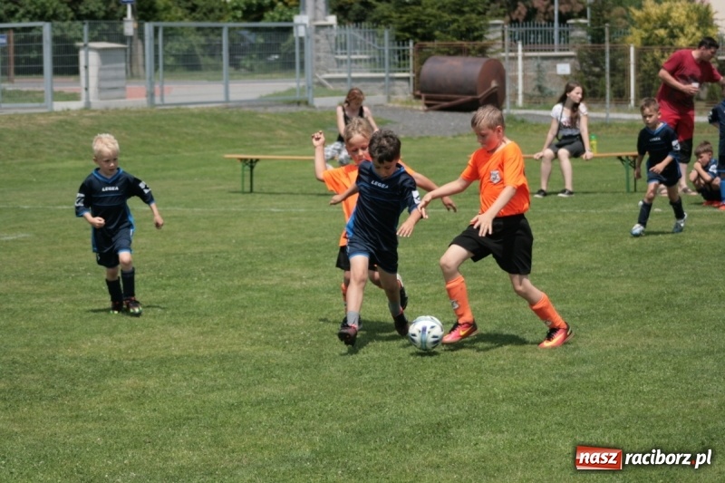 Zdjęcie w galerii na portalu naszraciborz.pl: Żaki Rafako na Międzynarodowym Turnieju Piłkarskim Lhotka Cup 2017 w Ostravie wiadomości z regionu