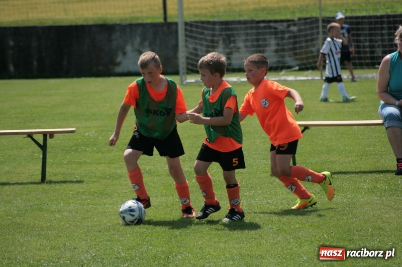 Zdjęcie w galerii na portalu naszraciborz.pl: Żaki Rafako na Międzynarodowym Turnieju Piłkarskim Lhotka Cup 2017 w Ostravie wiadomości z regionu
