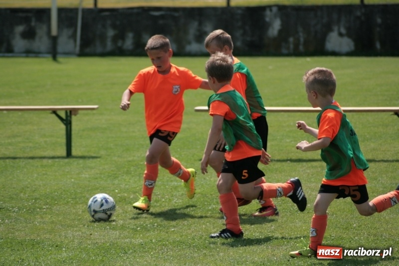 Zdjęcie w galerii na portalu naszraciborz.pl: Żaki Rafako na Międzynarodowym Turnieju Piłkarskim Lhotka Cup 2017 w Ostravie wiadomości z regionu